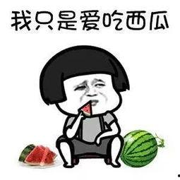 吃瓜娱乐圈花钱